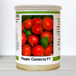 Семена редиса Селеста, (Германия), 100 г (банка)